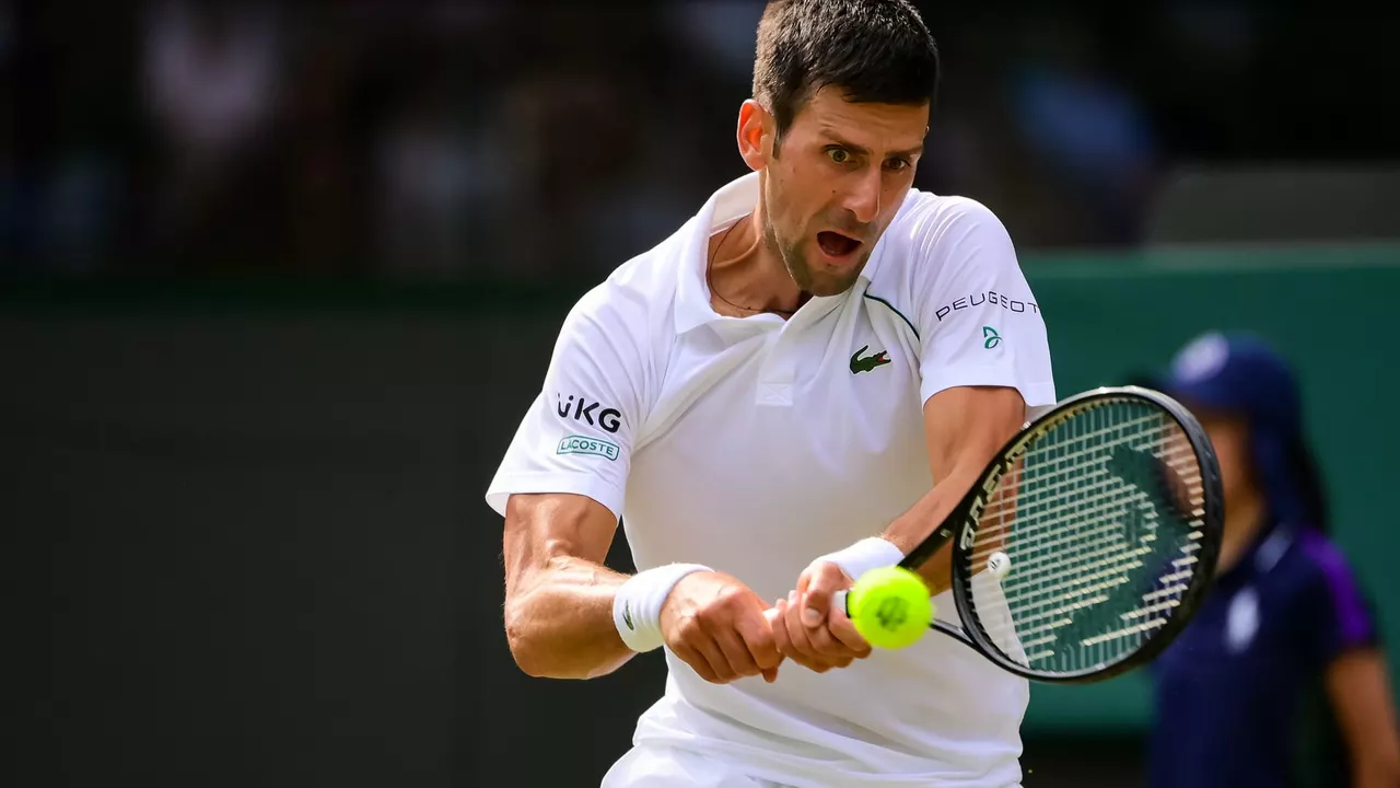 What should Novak Djokovic do now?